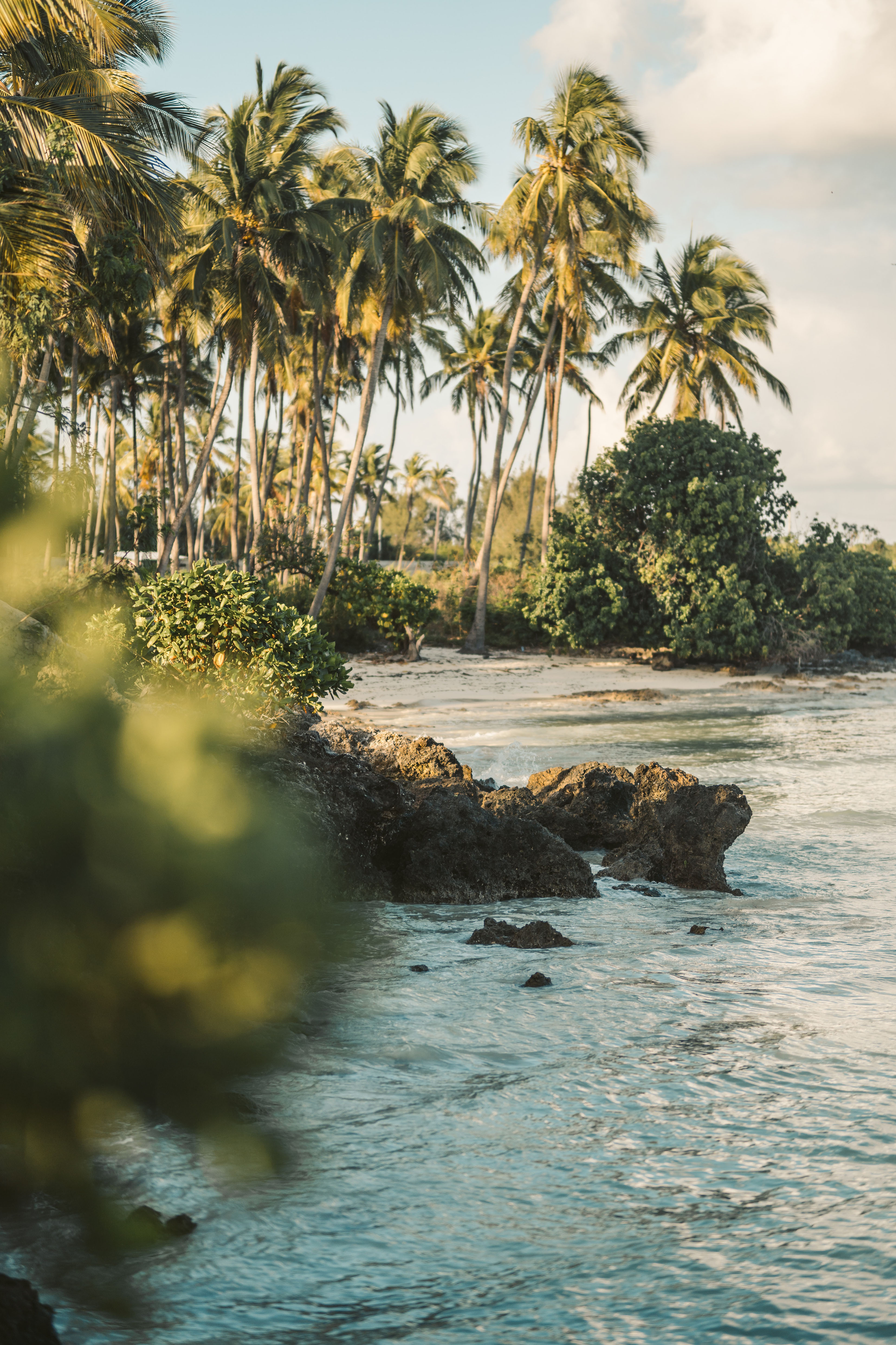 ONE AGENCY Sets Sights on Indo-Pacific Growth with Fiji Expansion