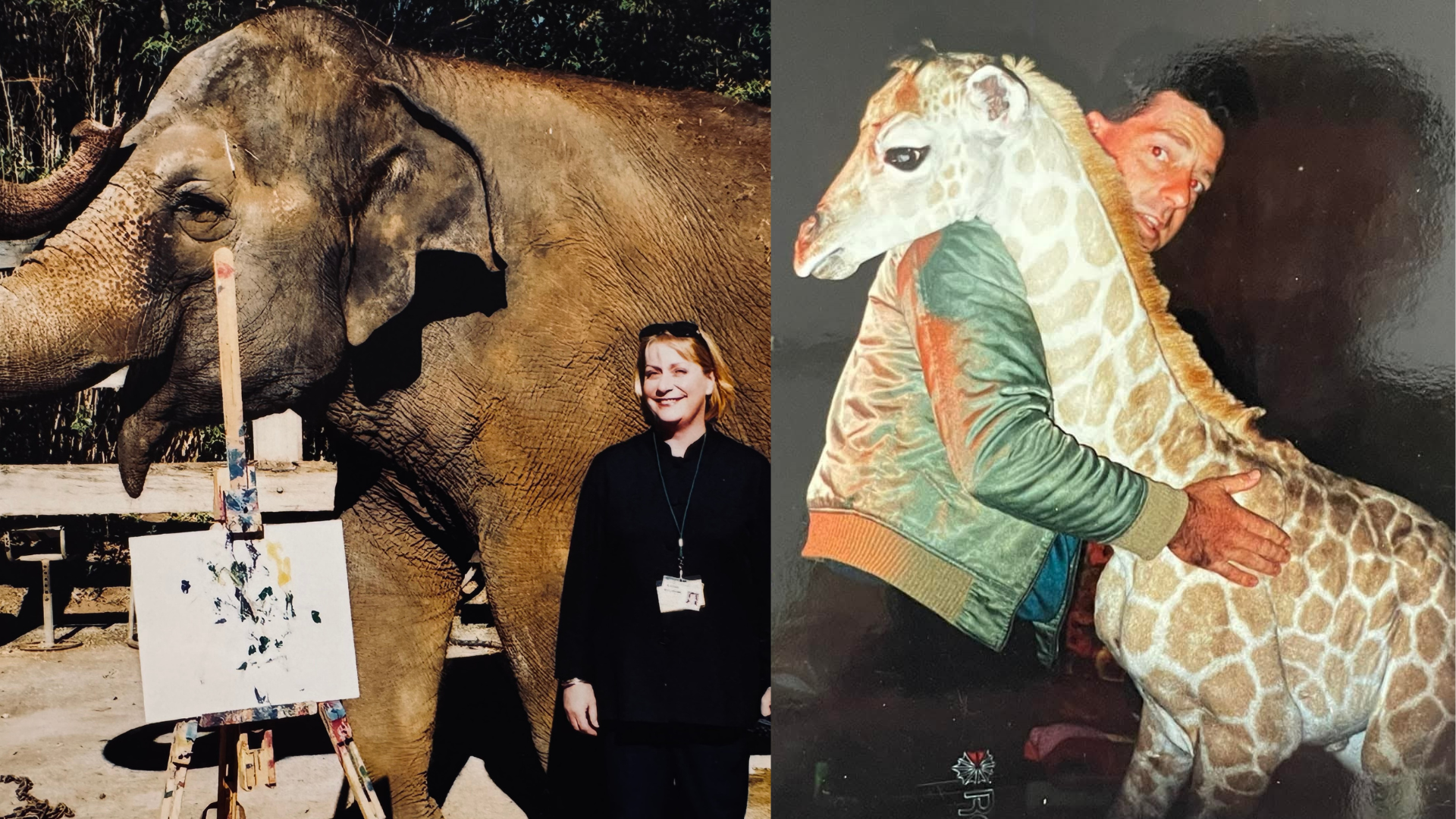 From Giraffes and Elephants to Real Estate: Colin and Karen Wallbank’s Inspiring Journey