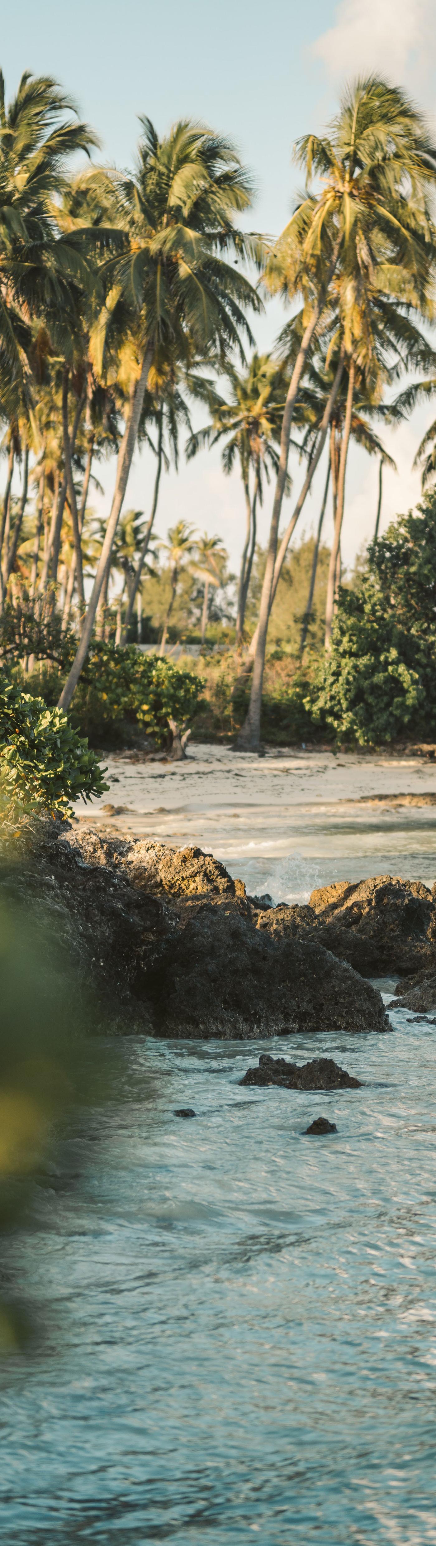 ONE AGENCY Sets Sights on Indo-Pacific Growth with Fiji Expansion