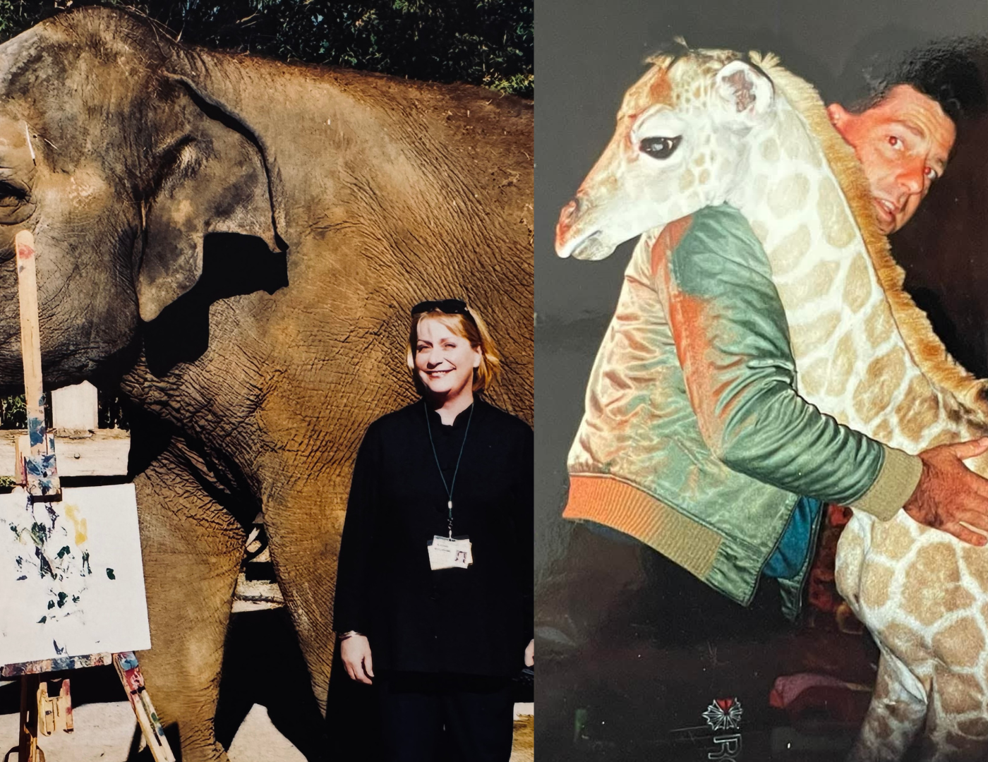 From Giraffes and Elephants to Real Estate: Colin and Karen Wallbank’s Inspiring Journey